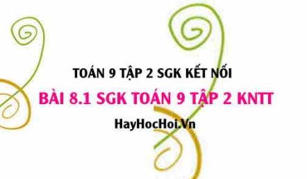 Bài 8.1 SGK Toán 9 tập 2 Kết nối tri thức